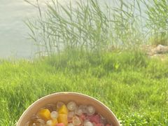 -艾溪湖湿地公园