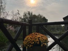 -句容茅山景区