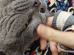 -上海市普陀区中心医院