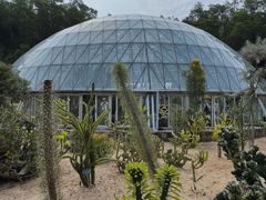 -深圳仙湖植物园