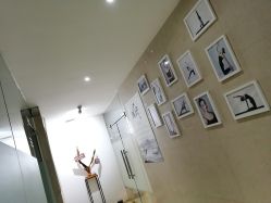 -榕树上·瑜伽普拉提