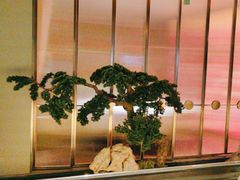 -俏江南·晋文化主题餐厅(中正天街店)