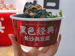 -黑色经典臭豆腐·湖南特产(步行街店)