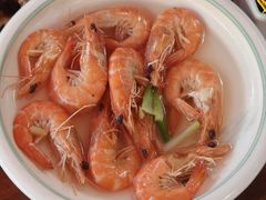 -小小饭店·休闲农庄·安吉松树林里的农家菜