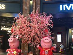 -CGV影城(壹方城IMAX店)