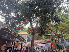 -周大娘牛乳(旧寨古村总店)