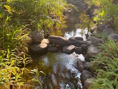 -三亚海棠湾南田温泉神龙谷