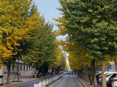 -东北大学(南湖校区)