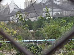 -森林公园(尖草坪区)