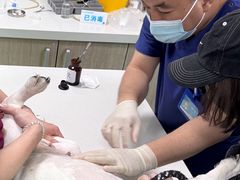 -北京观赏动物医院·24小时大型综合·猫专科·异宠专科