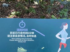 -南山植物园