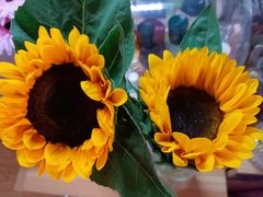 -循礼门鲜花花市(武汉循礼门店)