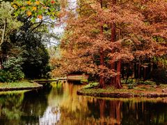 -上海共青森林公园