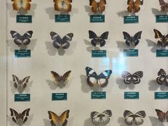 -陕西自然博物馆