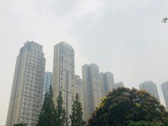 -成都市活水公园