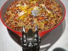 -雲蜀龙阁·金牌水煮鱼(方庄店)