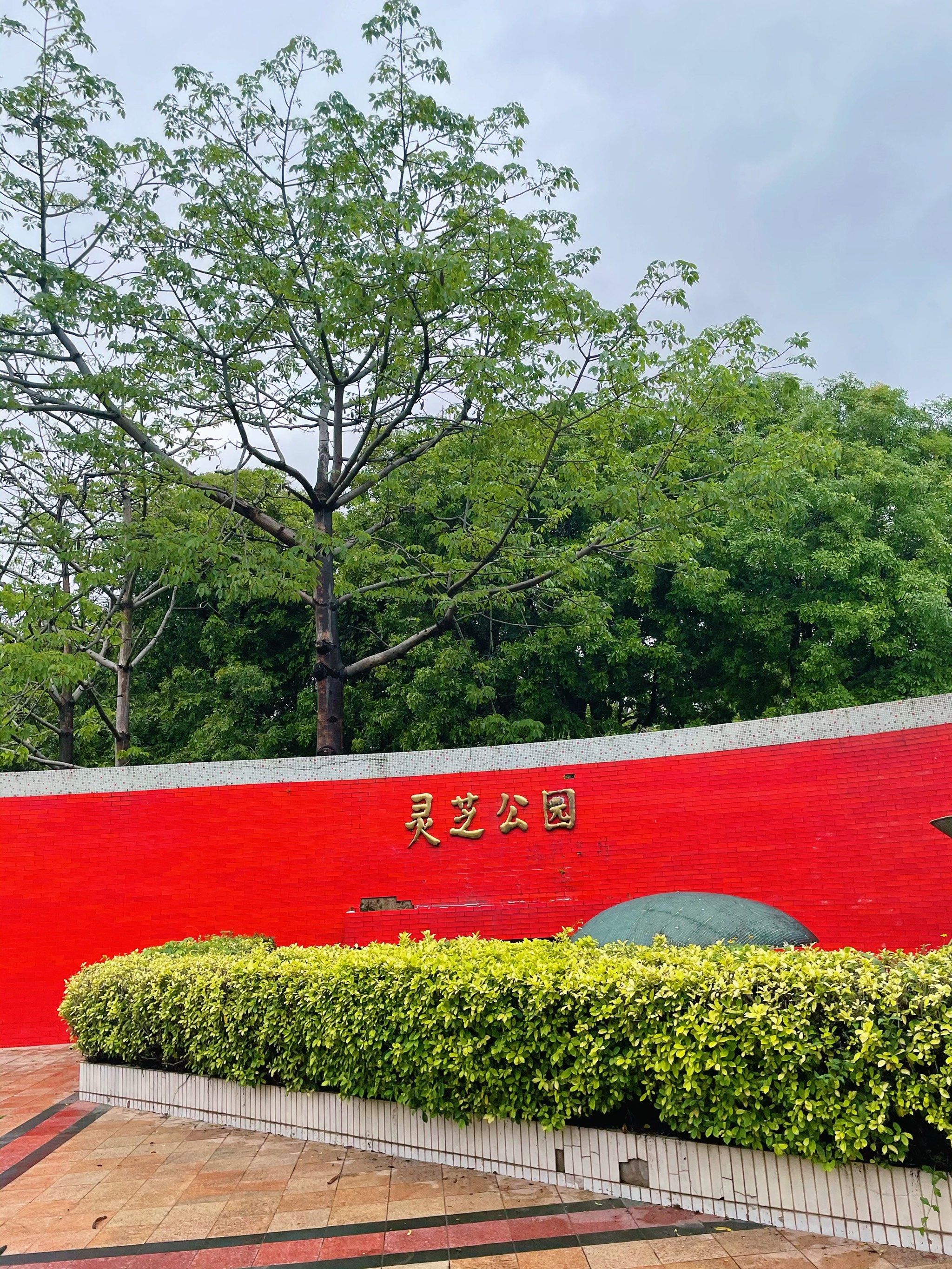 下完雨的灵芝公园,真好逛