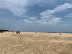 -东海岛旅游度假区