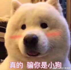 -慕拉美甲美睫皮肤管理