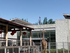 -石家庄市动物园