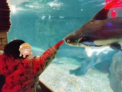 -太平洋海底世界