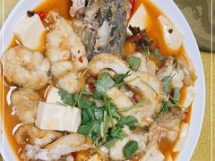 -煲来饱去冷水鱼