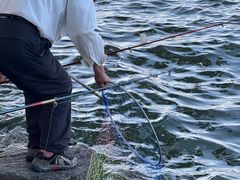 -西湖外事游船(花港观鱼码头)