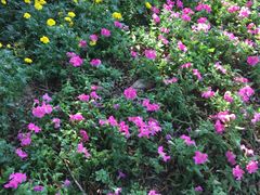 -人民公园(罗湖区)