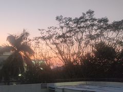 -北海金海湾红树林生态旅游区