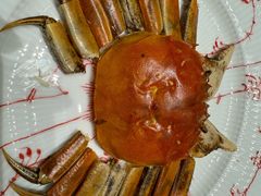 -新光酒家·河豚·海鲜·蟹料理(浦东店)