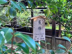 -天龙寺