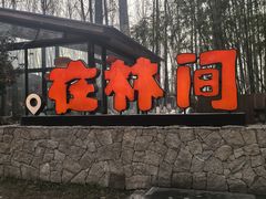 -林间山庄