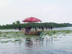 -白洋淀景区