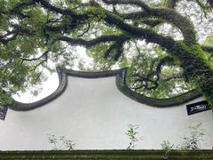 -西湖公园(鼓楼区)