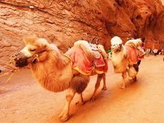 -天山神秘大峡谷