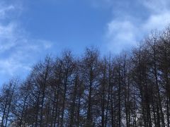 -硗碛藏寨·神木垒景区