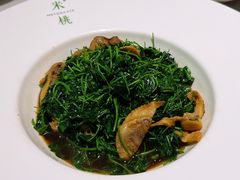 -米桃-吴韵风雅·拙园(北外滩来福士店)