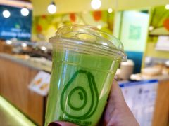 -油梨树AVOCADO TREE(嘉里中心店)