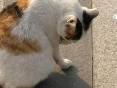 -苏州河梦清园环保主题公园