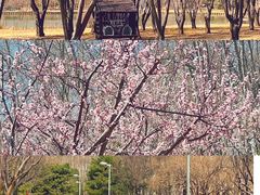 -仁和公园(顺义区)