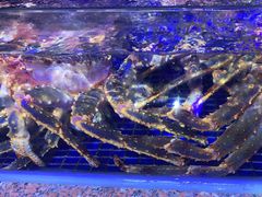 -青蓬蒸汽海鲜·深圳老字号·团建聚会(壹方城店)