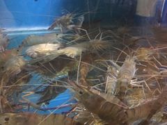 -Thai Basil罗勒叶泰式餐厅(时代天街店)