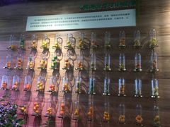 -中国天府农业博览园