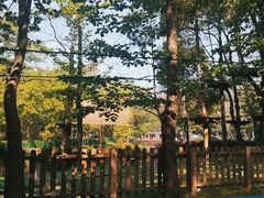 -WeLope紫金山探险公园