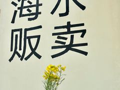 -东极岛景区