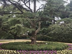 -上海虹桥迎宾馆