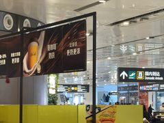 -麦当劳(北京大兴机场二层国内到达(安检外)店)