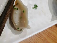 鲜肉/香辣锅贴-苏小柳手作点心(控江旭辉分院)