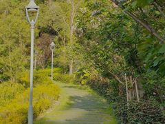 -金鸡山公园