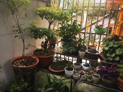 -臭鳜鱼人家·老字号徽菜